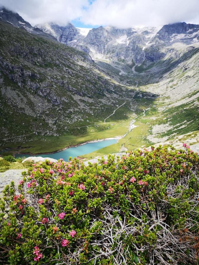 Rifugio Stella Alpina Saviore dell'Adamello Exterior foto