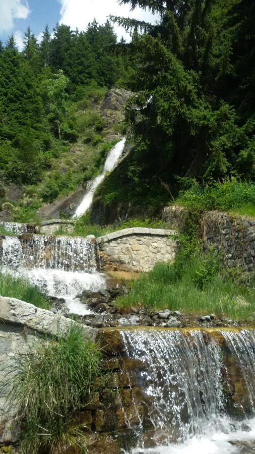 Rifugio Stella Alpina Saviore dell'Adamello Exterior foto
