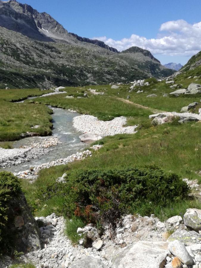 Rifugio Stella Alpina Saviore dell'Adamello Exterior foto